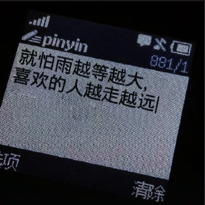 遗失的心跳（遗憾间奏 薄冰哥 remix）