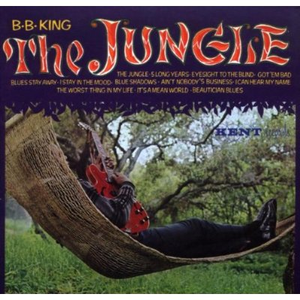 Eyesight To The Blind