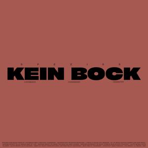 Kein Bock (feat. Boxenstopp)