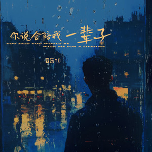 你说会陪我一辈子 (DJR7版)