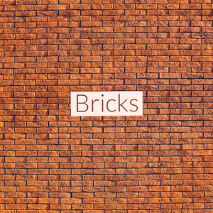 Bricks