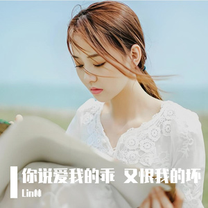 你说爱我的乖 又恨我的坏