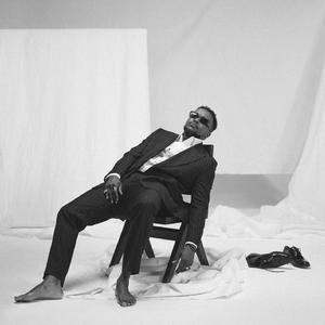 P.I.C. (Partner In Crime)