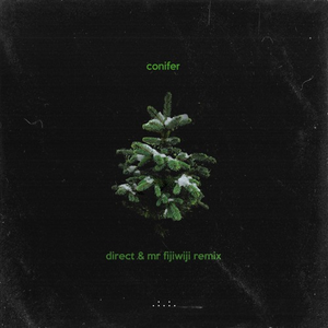 Conifer