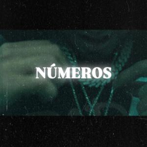 NUMEROS