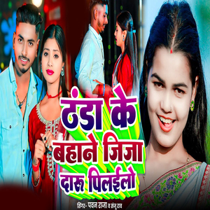Thanda Ke Bahane Jija Daru Pilayilo