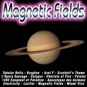 Magnetic Fields