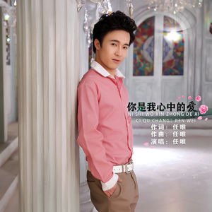 你是我心中的爱 (快四舞曲版)