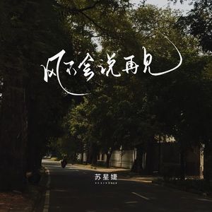 风不会说再见（校园广播版）