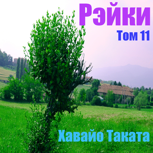 Рэйки Том 11