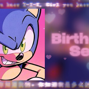 ai sonicbirthday sex（生日快乐索尼克）