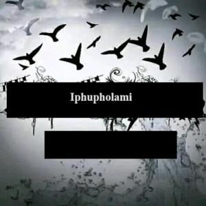 Iphupholami