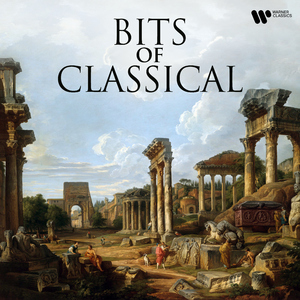 Violin Concerto in D Major, Op. 35:I. Allegro moderato, Pt. 4