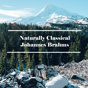 Johannes Brahms -  16 Waltzes, Op.39 - No.1 in B