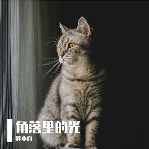 角落里的光～
