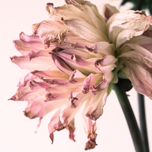 快樂的時間總是過得特別慢