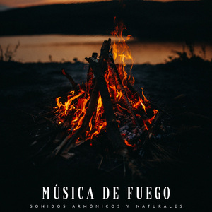 Concentración Con Sonidos De Fuego