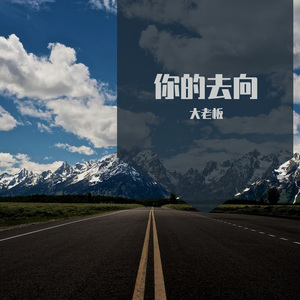 飞鸟和蝉 (纯音乐版)