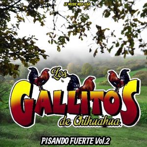 Las Calles Enlodadas-Los Gallitos de Chihuahua en vivo Vol.2