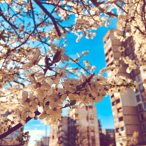 Kamu Cantik Hari Ini