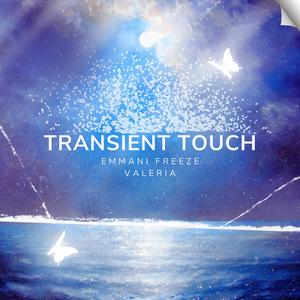 Transient Touch
