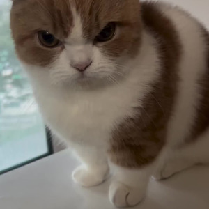 Away In A Manger (sped up)