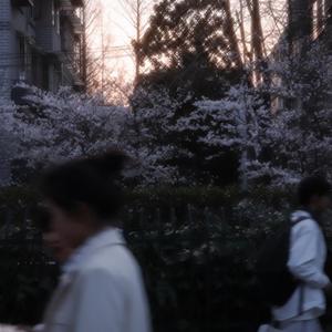 总有人会因为你是你而爱你