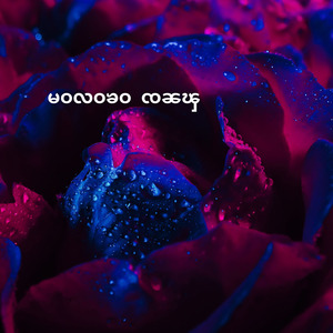 မဝလဝၶဝ ၸၼၾ