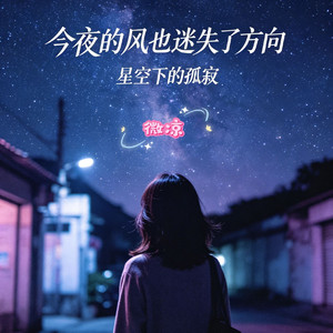 今夜的风也迷失了方向（星空下的孤寂）