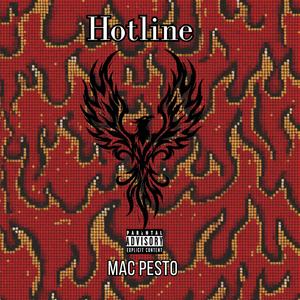 Hotline