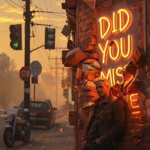 Did you Miss me (feat. Birgit Bergen)