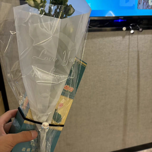 看不清的未来 回不去的曾经