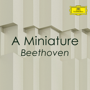 String Quartet No. 13 in B-Flat Major, Op. 130:II. Presto