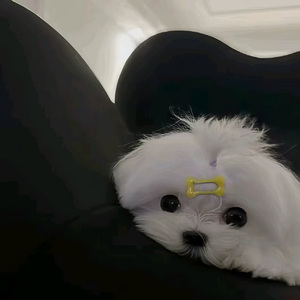 两全之爱