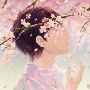 送你的Sakura【free beat】