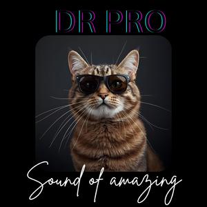 Sound of amazing (feat. Skitspro mp)