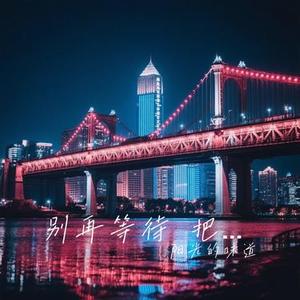 别再等待 把泪藏在夜里