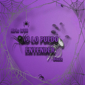 No Lo Puedo Entender
