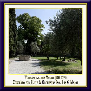 Flute Concerto No. 1 in G Major, K. 313:III. Rondo: Tempo di menuetto