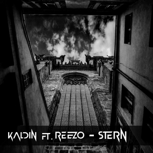 Stern (feat. Reezo) [Radio Version]