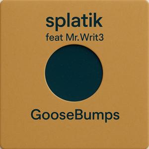 Goose Bumps (feat. Mr. Writ3)