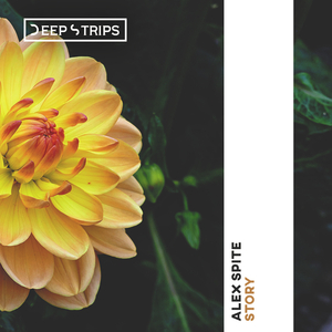 Story (Original Mix)