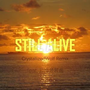 NoMTR-Still Alive（CrystallizedWolf Remix）