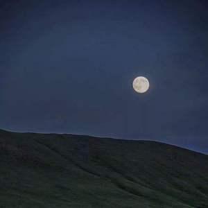 红眼睛（翻自 苏诗丁）