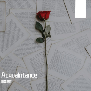 Acquaintance