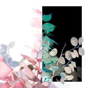 strength & beauty (feat. yandere)