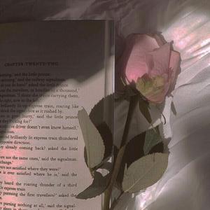 如愿（cover：王菲）