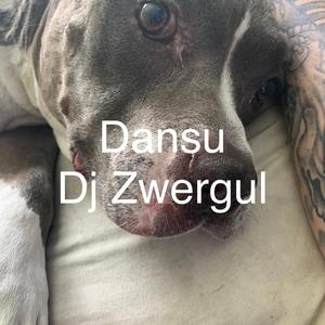 Dansu