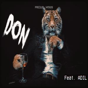 DON (feat. Shah Rukh Khan & Adil)