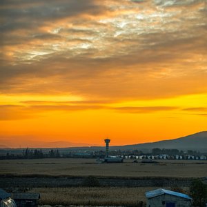 你享受我的沉沦，我旁观你的残忍